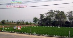 ที่ดิน 400 ตรว. อยู่ ติด ถนนใหญ่ หมู่ที่ 6 ต.เวียง อ.พร้าว จ.เชียงใหม่ ขนาดที่ดิน กว้าง 56 ม ยาว 30 ม