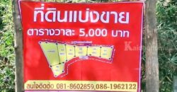 ที่ดินตำบลพิชัย หลัง รพ.ค่ายฯ เมืองลำปาง ทำเลสวย เพียง ต.ร.ว.ละ 5,000 บาท