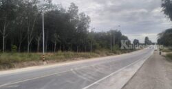 ขายที่ดินสวยทำเลดี ติดถนนซอย14 สาย13 นิคมพัฒนา ระยอง