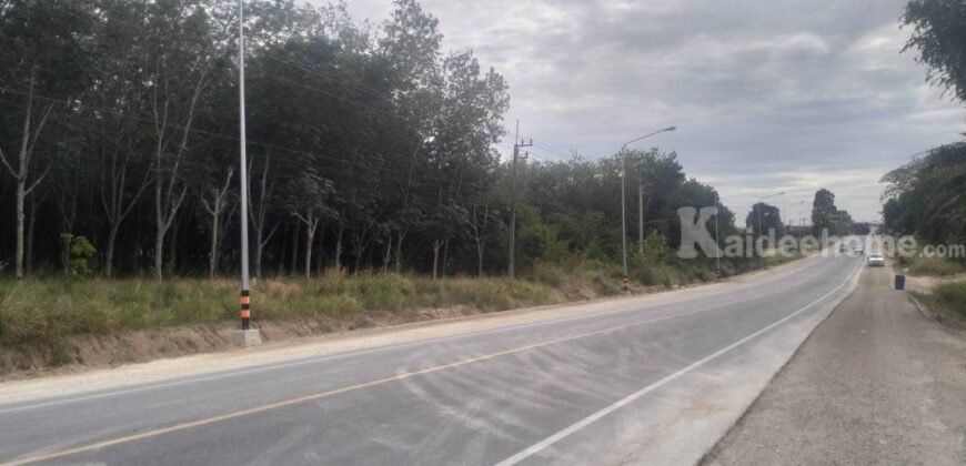 ขายที่ดินสวยทำเลดี ติดถนนซอย14 สาย13 นิคมพัฒนา ระยอง