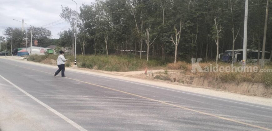 ขายที่ดินสวยทำเลดี ติดถนนซอย14 สาย13 นิคมพัฒนา ระยอง
