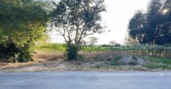 ขายที่ดินสวยทำเลดีติดถนนซอยนิคมสาย11 นิคมพัฒนา ระยอง