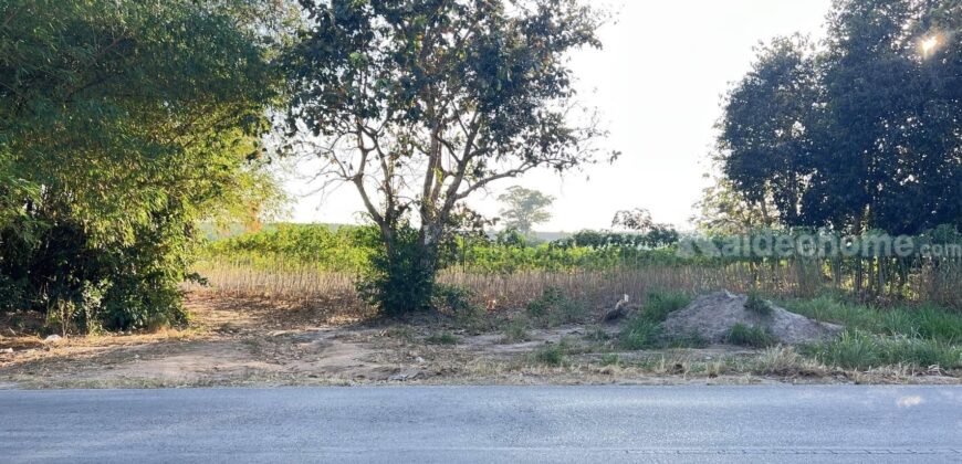 ขายที่ดินสวยทำเลดีติดถนนซอยนิคมสาย11 นิคมพัฒนา ระยอง