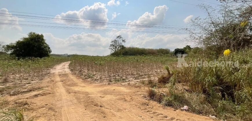 ขายที่ดินเปล่าติดถนน 3376 พนานิคม นิคมพัฒนา ระยอง 24-1-28.7 ไร่