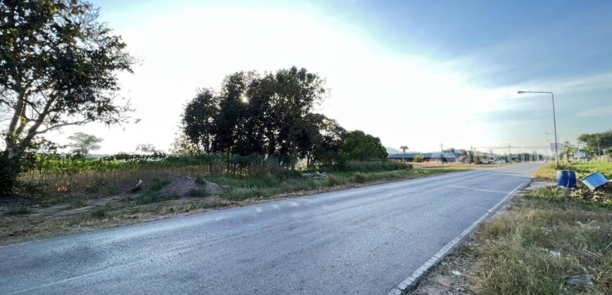 ขายที่ดินสวยทำเลดีติดถนนซอยนิคมสาย11 นิคมพัฒนา ระยอง