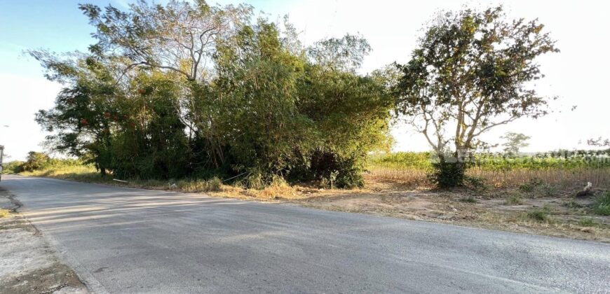 ขายที่ดินสวยทำเลดีติดถนนซอยนิคมสาย11 นิคมพัฒนา ระยอง