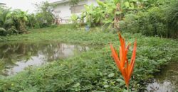 บ้านสวย อ.พร้าว เชียงใหม่ ด้วยสวนไม้ดอก รอบสนามหญ้าขจี สีเขียว ร่มรื่น เงียบสงบ น่าอยู่ ขนาดที่ดิน 417 ตรว. ขนาดบ้าน 116 ตรม. อยู่่ติดถนนใหญ่ ใกล้ชุมชน ห่างตลาดสด เทศบาลเวียงพร้าว เพียง 1 ก.ม. ใช้เวลา ขับรถ10 นาที อยู่ห่างวัดป่าอาารย์มั่น 200 ม.