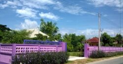 บ้านสวย อ.พร้าว เชียงใหม่ ด้วยสวนไม้ดอก รอบสนามหญ้าขจี สีเขียว ร่มรื่น เงียบสงบ น่าอยู่ ขนาดที่ดิน 417 ตรว. ขนาดบ้าน 116 ตรม. อยู่่ติดถนนใหญ่ ใกล้ชุมชน ห่างตลาดสด เทศบาลเวียงพร้าว เพียง 1 ก.ม. ใช้เวลา ขับรถ10 นาที อยู่ห่างวัดป่าอาารย์มั่น 200 ม.