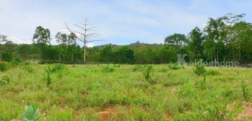 ขายที่ดินปากช่อง หนองสาหร่าย 7 ไร่ ที่เนินเขาวิวเขาล้อมรอบ บรรยากาศดีสงบ ติดถนนลาดยาง ใกล้เส้น 2235 เพียง 1 กม. ใกล้มิตรภาพ น้ำประปาไฟฟ้าพร้อม ทำเลดี ไม่เปลี่ยว 087-9074045