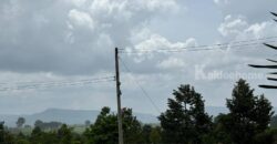 ขายที่ดินคลองม่วง ปากช่อง ที่สวนผลไม้ 44 ไร่ วิวภูเขาสวยล้อมรอบ บรรยากาศดี ปลูกไม้ผลทุเรียน เงาะ อโวคาโด้ น้อยหน่าเก็บผลผลิตได้แล้ว ใกล้ชุมชนบ้านคน น้ำไฟครบ 087-9074045