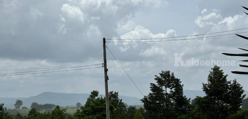 ขายที่ดินคลองม่วง ปากช่อง ที่สวนผลไม้ 44 ไร่ วิวภูเขาสวยล้อมรอบ บรรยากาศดี ปลูกไม้ผลทุเรียน เงาะ อโวคาโด้ น้อยหน่าเก็บผลผลิตได้แล้ว ใกล้ชุมชนบ้านคน น้ำไฟครบ 087-9074045