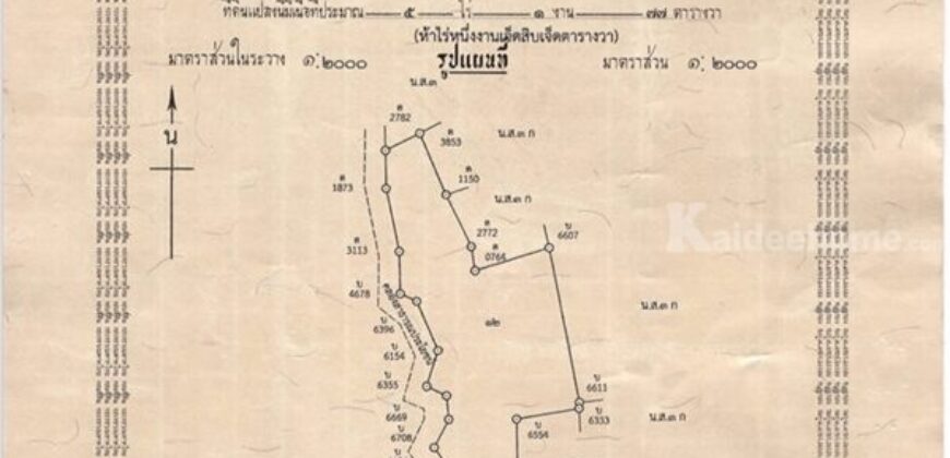 ขายที่ดินเกาะสมุย 2 แปลงติดกัน ต.ตลิ่งงาม อ.เกาะสมุย จ.สุราษฎร์ธานี (เจ้าของขายเอง) เหมาะสำหรับสร้างรีสอร์ท โทร. 084-732-2086