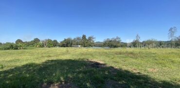 ขายที่เนิน วิวทะเลสาบ อ.เวียงชัย จ.เชียงราย (นํ้าไม่ท่วม) ใกล้เมืองเดินทางสะดวก โทร 0895528426