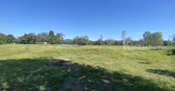 ขายที่เนิน วิวทะเลสาบ อ.เวียงชัย จ.เชียงราย (นํ้าไม่ท่วม) ใกล้เมืองเดินทางสะดวก โทร 0895528426