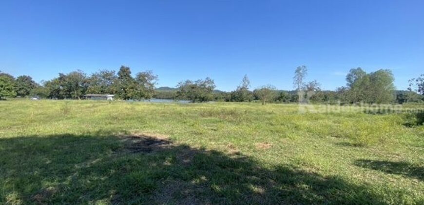 ขายที่เนิน วิวทะเลสาบ อ.เวียงชัย จ.เชียงราย (นํ้าไม่ท่วม) ใกล้เมืองเดินทางสะดวก โทร 0895528426