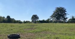 ขายที่เนิน วิวทะเลสาบ อ.เวียงชัย จ.เชียงราย (นํ้าไม่ท่วม) ใกล้เมืองเดินทางสะดวก โทร 0895528426