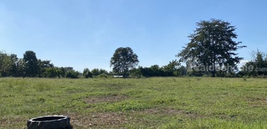 ขายที่เนิน วิวทะเลสาบ อ.เวียงชัย จ.เชียงราย (นํ้าไม่ท่วม) ใกล้เมืองเดินทางสะดวก โทร 0895528426