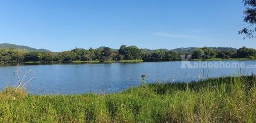 ขายที่เนิน วิวทะเลสาบ อ.เวียงชัย จ.เชียงราย (นํ้าไม่ท่วม) ใกล้เมืองเดินทางสะดวก โทร 0895528426