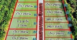 เฟสใหม่ใกล้ตลาดคลอง9.เมืองใหม่น้ำไฟดึงใกล้เข้า-ออกสะดวก. T.062-1574449