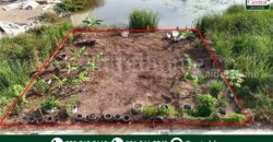 ที่ดินเปล่า 100 ตร.ว. ซอยบงกช 71 คลอง 2 คลองหลวง – ปทุมธานี