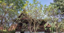 บ้านเรือนไทย สวยท่ามกลางธรรมชาติ บรรยากาศร่มรื่น วิวภูเขา บนพื้นที่ 1 ไร่ อู่ทอง สุพรรณบุรี