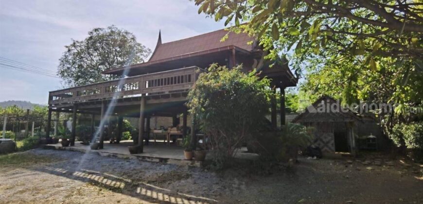 บ้านเรือนไทย สวยท่ามกลางธรรมชาติ บรรยากาศร่มรื่น วิวภูเขา บนพื้นที่ 1 ไร่ อู่ทอง สุพรรณบุรี