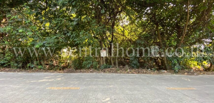 ที่ดินเปล่า 200 ตร.ว ซอยเอราวัณ 4 คลองสอง ปทุมธานี