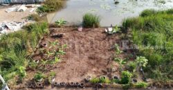 ที่ดินเปล่า 100 ตร.ว. ซอยบงกช 71 คลอง 2 คลองหลวง – ปทุมธานี