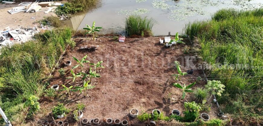 ที่ดินเปล่า 100 ตร.ว. ซอยบงกช 71 คลอง 2 คลองหลวง – ปทุมธานี
