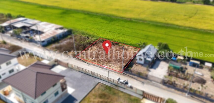 ที่ดินจัดสรร 100 ตร.ว. ซอยสังฆสันติสุข 48 หนองจอก ทำเลดี