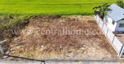 ที่ดินจัดสรร 100 ตร.ว. ซอยสังฆสันติสุข 48 หนองจอก ทำเลดี
