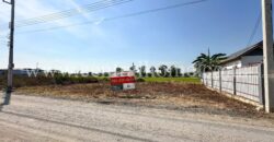 ที่ดินจัดสรร 100 ตร.ว. ซอยสังฆสันติสุข 48 หนองจอก ทำเลดี