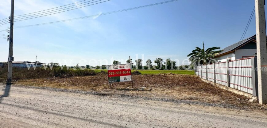 ที่ดินจัดสรร 100 ตร.ว. ซอยสังฆสันติสุข 48 หนองจอก ทำเลดี