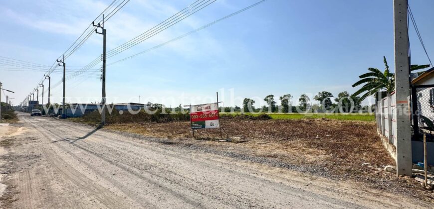 ที่ดินจัดสรร 100 ตร.ว. ซอยสังฆสันติสุข 48 หนองจอก ทำเลดี