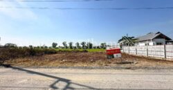 ที่ดินจัดสรร 100 ตร.ว. ซอยสังฆสันติสุข 48 หนองจอก ทำเลดี