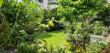 ขายบ้านเดี่ยวคุ้มเกล้า ลาดกระบัง หมู่บ้านชัยพฤกษ์ 1 สุวินทวงศ์ ที่ดิน 115 ตร.ว บ้านสวยพร้อมอยู่ ใกล้สนามบินสุวรรณภูมิ กาญจนา มอเตอร์เวย์ Detached House near Suvarnabhumi airport 087-9074045