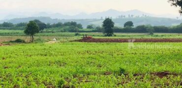 ขายที่ดินปากช่อง หนองสาหร่าย 7 ไร่ 19 ไร่ ที่สูงลักษณะบนเนินเขา เทควิวเขาสวย เหมาะทำบ้านสวนตากอากาศ อยู่เส้น 2235 ใกล้ถนนมิตรภาพ นครราชสีมา ไปร้านค้า ร้านอาหาร ตลาด สะดวก