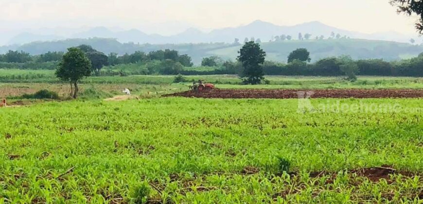 ขายที่ดินปากช่อง หนองสาหร่าย 7 ไร่ 19 ไร่ ที่สูงลักษณะบนเนินเขา เทควิวเขาสวย เหมาะทำบ้านสวนตากอากาศ อยู่เส้น 2235 ใกล้ถนนมิตรภาพ นครราชสีมา ไปร้านค้า ร้านอาหาร ตลาด สะดวก