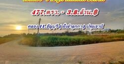 ที่ถมแล้ว Vายถูกมาก ติดถนน3ด้าน ทำเลทอง คลอง 11.ธัญบุรี. T.062-1574449