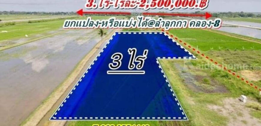 เจ้าของสูงวัยรีบขายถูก ที่คลอง8ลำลูกกา-ที่ดินใกล้ถนนรังสิตนครนายก .T.062-1574449