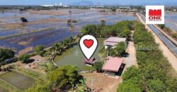 ขายที่ดินบ้านสวน เสาไห้ สระบุรี 6 ไร่ 2 งาน 39 ตรว. มีบ้านปูนลอฟท์ บ้านสวนพร้อมอยู่ ติดต่อ คุณเกริก 0934415691