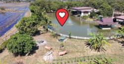ขายที่ดินบ้านสวน เสาไห้ สระบุรี 6 ไร่ 2 งาน 39 ตรว. มีบ้านปูนลอฟท์ บ้านสวนพร้อมอยู่ ติดต่อ คุณเกริก 0934415691