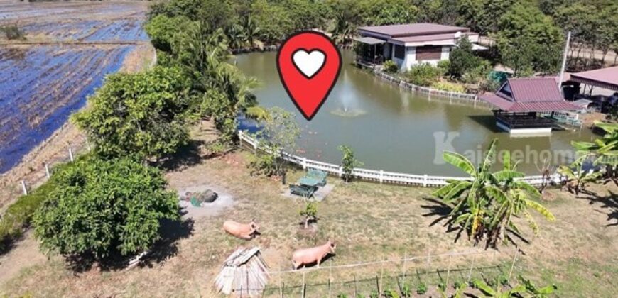 ขายที่ดินบ้านสวน เสาไห้ สระบุรี 6 ไร่ 2 งาน 39 ตรว. มีบ้านปูนลอฟท์ บ้านสวนพร้อมอยู่ ติดต่อ คุณเกริก 0934415691