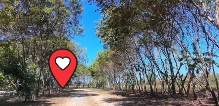 ขายที่ดินบ้านสวน เสาไห้ สระบุรี 6 ไร่ 2 งาน 39 ตรว. มีบ้านปูนลอฟท์ บ้านสวนพร้อมอยู่ ติดต่อ คุณเกริก 0934415691