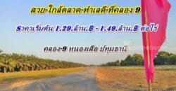 ที่ดิน ทำเลดี ใกล้ตลาด ใกล้ชุมชน ราคาเบาๆ ที่คลอง9 .หนองเสือ. T.062-1574449