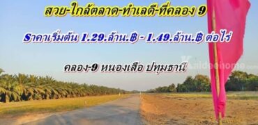 ที่ดิน ทำเลดี ใกล้ตลาด ใกล้ชุมชน ราคาเบาๆ ที่คลอง9 .หนองเสือ. T.062-1574449