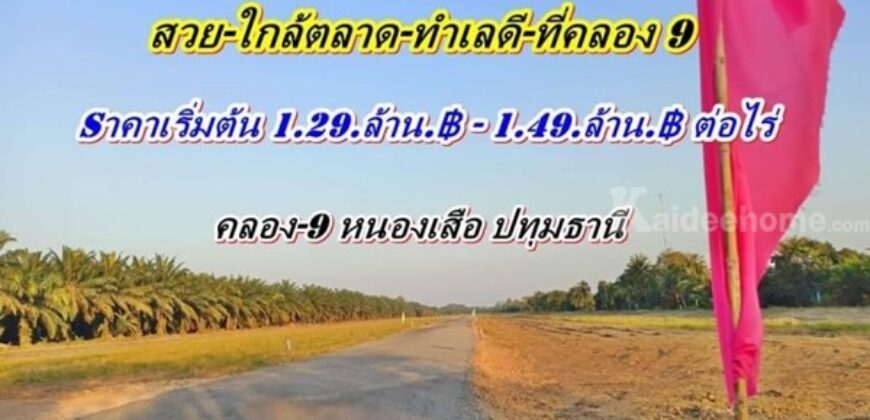 ที่ดิน ทำเลดี ใกล้ตลาด ใกล้ชุมชน ราคาเบาๆ ที่คลอง9 .หนองเสือ. T.062-1574449