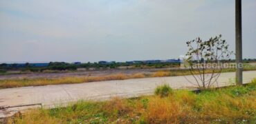 ขายที่ดิน+สิ่งปลูกสร้าง