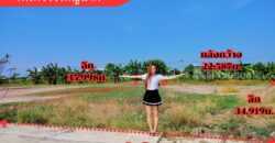 ขายที่ดินเปล่าถมแล้วมี+น้ำ+ไฟ