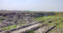 ขายที่ดิน+สิ่งปลูกสร้าง